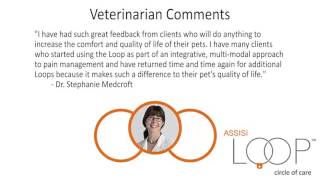 Assisi Loop 2 minutes for veterinarians