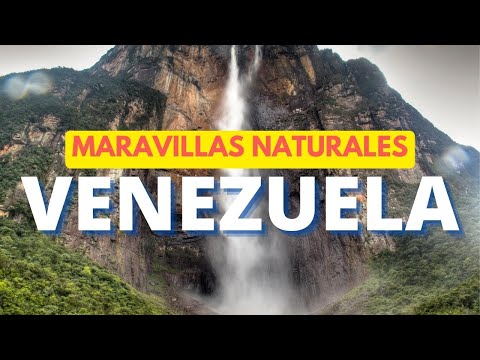 Video: Las mejores cosas para hacer en Caracas, Venezuela