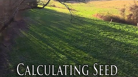 Calculating Seed for Deer Hunting Food Plots
