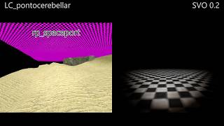 β | 0.2 | LC_pontocerebellar | Sourcevoid Online
