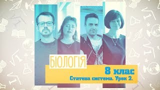 8 класс, 2 июня - Урок онлайн Биология: Половая система. Урок № 2