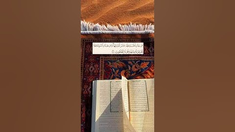 أرح مسمعك بتلاوة آيات من القرآن الكريم بصوت الشيخ سعد الغامدي#الله #سعد_الغامدي #تلاوة_خاشعة#quran