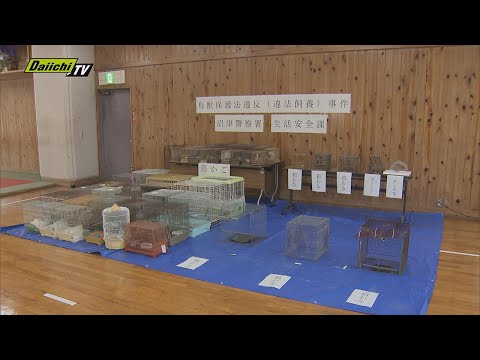 野鳥７０羽以上を違法飼育か…６５歳男性を書類送検　パトロール中の警察官が気付く（静岡・沼津市）