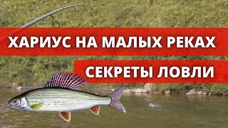 Секреты ловли хариуса на малых реках. Рыбалка на хариуса 2020.