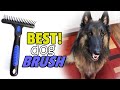 BEST Dog Brush for Long Hair | Top Dog Brushes