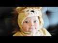 Pensive: Lion - Prepare for Halloween 2012