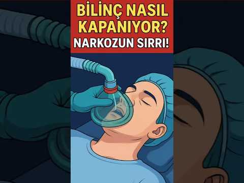 Bilinç Nasıl Kapanıyor?