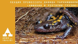 Давид Тархнишвили: Амфибии и рептилии Грузии"
