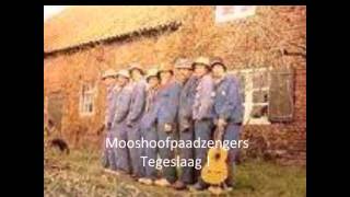 Mooshoofpaadzengers (Mhpz) - Tegeslaag 