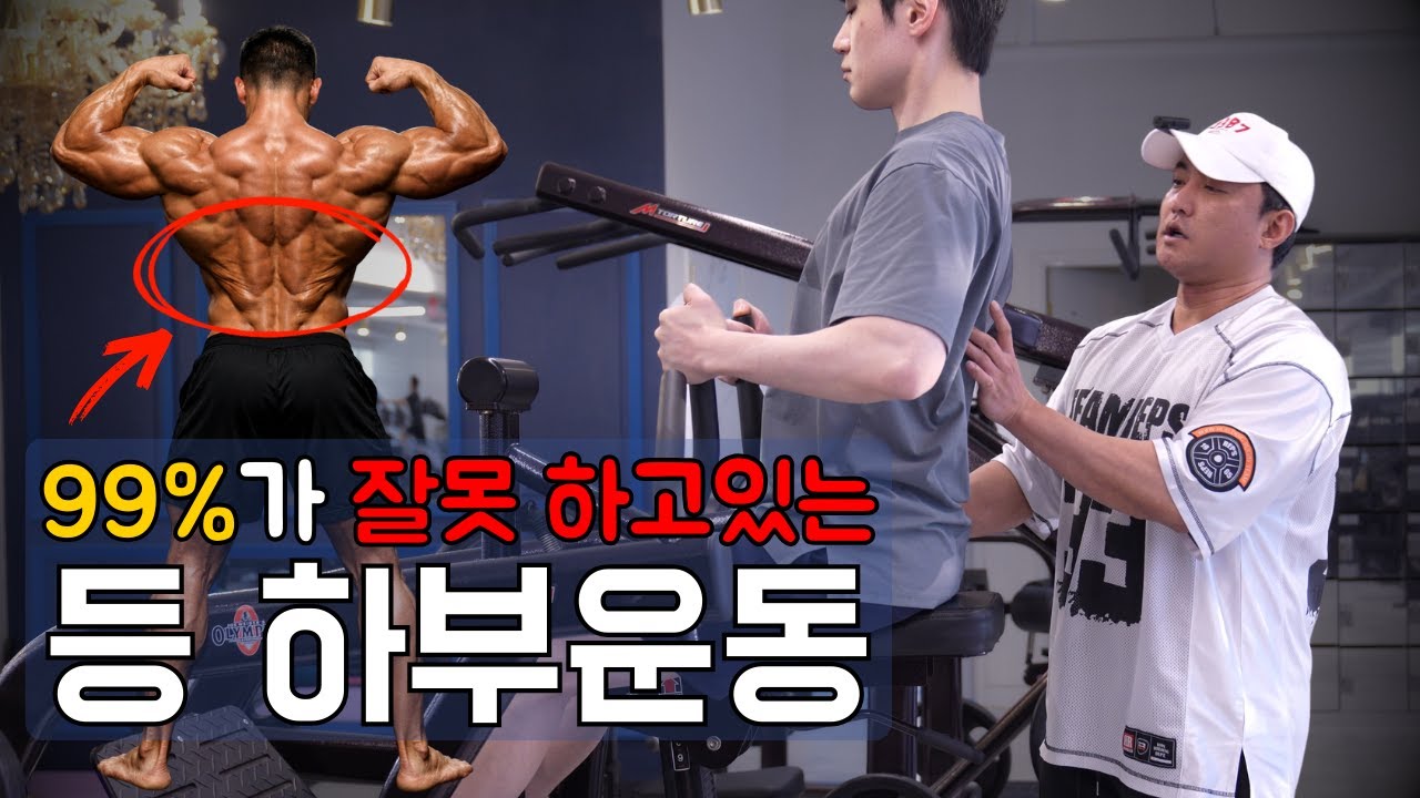 상식적으로 접근하세요!｜랫풀다운(등 하부)