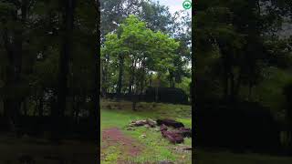 Neang Khmao Temple Was Built In 10Th Century And It Is It Very Beautiful Black Laterite Stone .