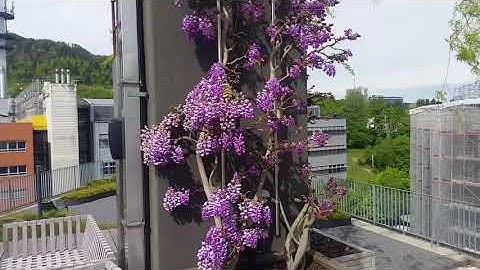 Our rooftop in Zurich is not a place, it