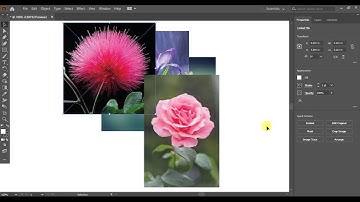 Lesson 28 Tutorial: How to Arrange Objects Forward and Backward in Adobe Illustrator?