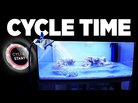 Cycling The ELOS