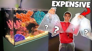 BUYING NEW SALTWATER FISH! (what’s inside?)