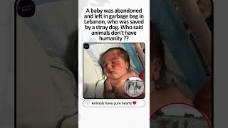 Who Said Animals Don’t Have Heart? ❤️🐾 #dog #hero #kindness #goodnews