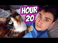 I spent 24 hours with my cat