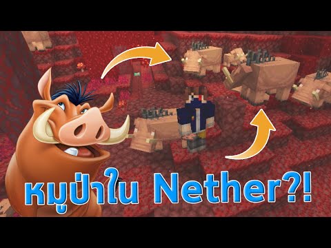 10-อันดับ-ความลับของหมูป่า-hoglin-มายคราฟ-1.16-nether-update