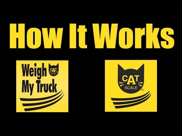 How to read and understand a cat scale weight ticket for beginners 