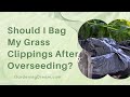 Should I Bag My Grass Clippings After Overseeding? Understanding the Relationship Between Grass Clippings and Soil