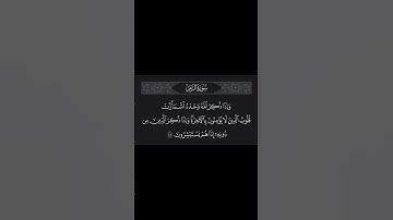 الشيخ ماهر المعيقلي #سورة الزمر #quran
