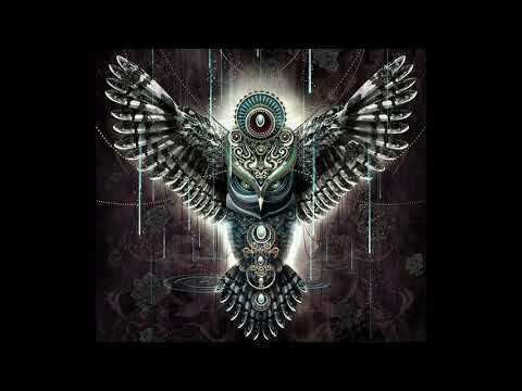 ბუ - გრძნობის ქარავანი / bu - grdznobis qaravani