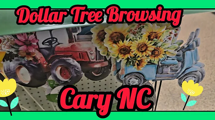 Dollar Tree Browsing. #dollartree #dollartreenewfinds 