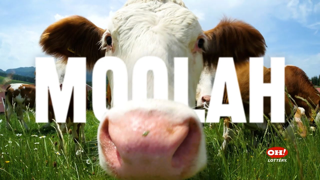 TV Commercial – Cashword Scratch-Offs 2026