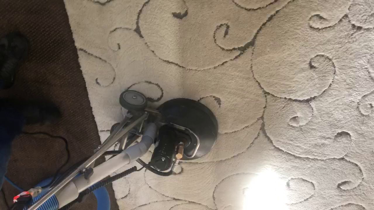 Area Rug Steam Cleaning Eastern Idaho YouTube
