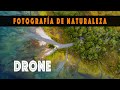 Fotografía de naturaleza con Drone