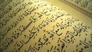 سورة التكاثر / عبد الله المطرود