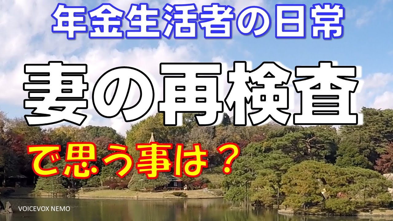 [Повседневная жизнь пенсионера] Что вы думаете о переобучении вашей жены? Жизнь после выхода на п...