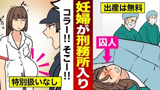 漫画 意外な妊婦待遇 妊娠中に刑務所に入るとどうなるのか マンガ動画 女性の出産無料 Youtube