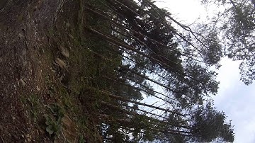 Antur Stiniog MTB Black trail Crash Fail - GoPro October 2014