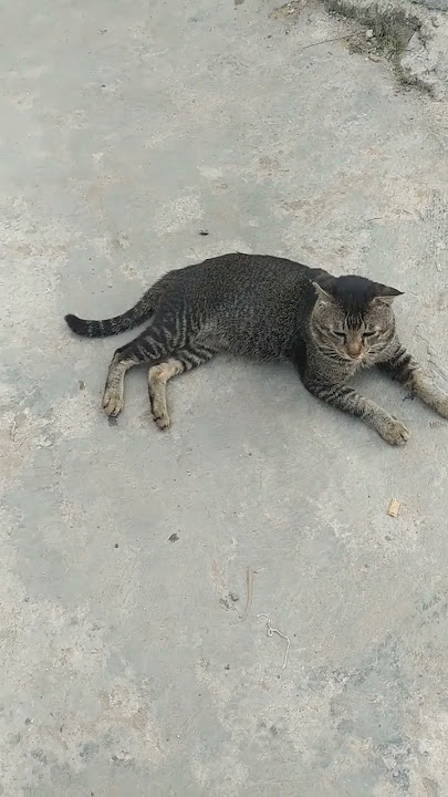 nungguin cewe #makan #menunggukamu