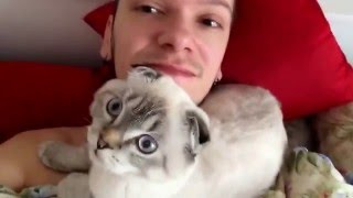 ТОП 5 Лучшие видео Кот будит хозяина. Best Funny Cats Waking Up Owners Compilation. ТОП 5 Лучшие видео Кот будит хозяина. Best Funny Cats Waking Up Owners Compilation.