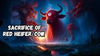 END OF THE WORLD | Red Heifer | Dajjal is Here