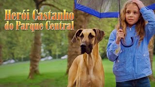 Herói Castanho do Parque Central - Brasil Version by Air Bud TV 7,867 views 3 weeks ago 2 minutes, 15 seconds