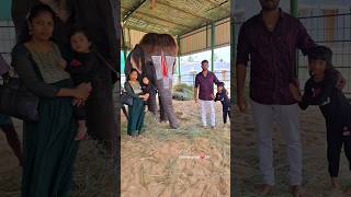 Family happiness p-5 💥 Don't miss the end 😱 #shorts #trending #viral #chandrupriya #love #emotional