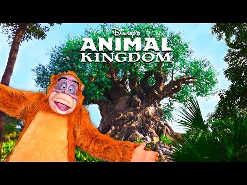 Video: 10 Tarikan Teratas di Disney World's Animal Kingdom