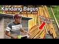 Bahan Kandang ayam yang bagus, murah, kuat dan awet, pakai kayu ini saja