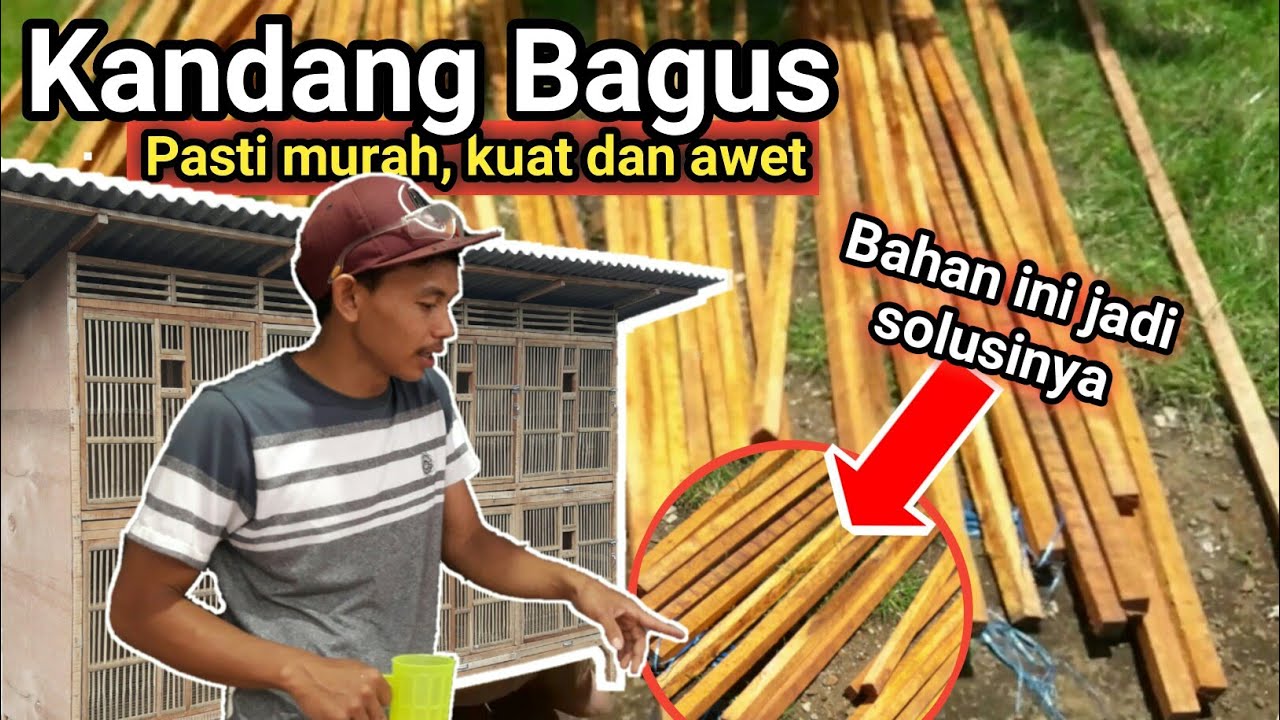 Bahan Kandang ayam yang  bagus  murah kuat dan awet pakai 