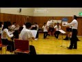 Johann Strauss II / The Blue Danube Waltz(for strings) / ensenble〝Musica Takaishi〟美しく青きドナウ
