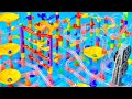 Marble Run Relaxation Motion ASMR – Steady Calm Flow