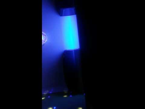 기리보이-호구