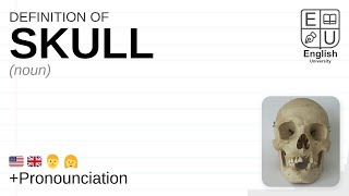 Skull Meaning Definition U0026 Pronunciation  What Is Skull  How To Say Skull