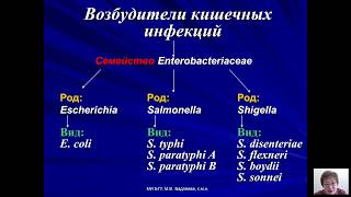 Реферат: Возбудители бактериальных инфекций человека