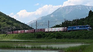 EF210-109牽引高速68レ東海道本線柏原通過(2026.6.13)40