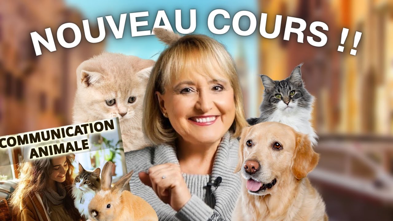 Nouveau cours de Communication Animale sur Zenki Learning !