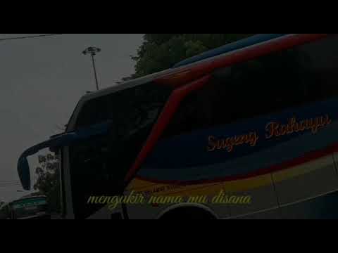 Story wa bus sugeng rahayu ‼️W 7219 UZ